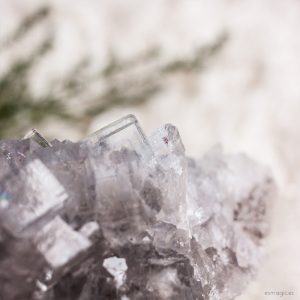Drusa Fluorita Azul Mineral Tienda Cristales Esmagic